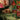 A Mars Chocolate banner appears beside wrapped gifts, a festive calendar, and colorful building blocks arranged on a dark green sofa in a warmly lit room.