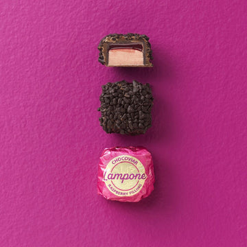 
                
                  Chocoviar
                
                  Raspberry
                
              