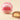 Praline BacioDiDama mit Milch 1 kg