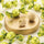 Salted Pistachio Pearl Bulk Bag